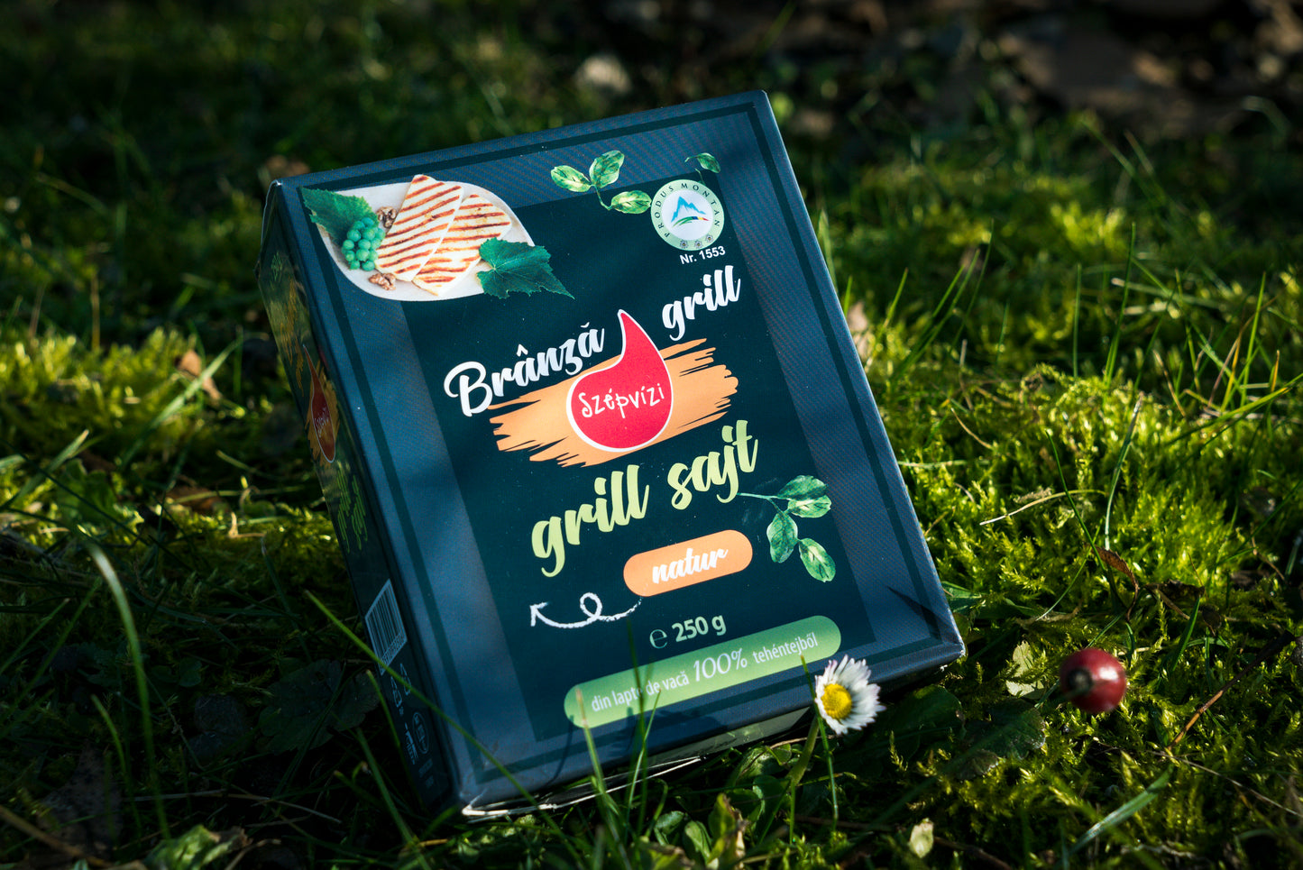 grill