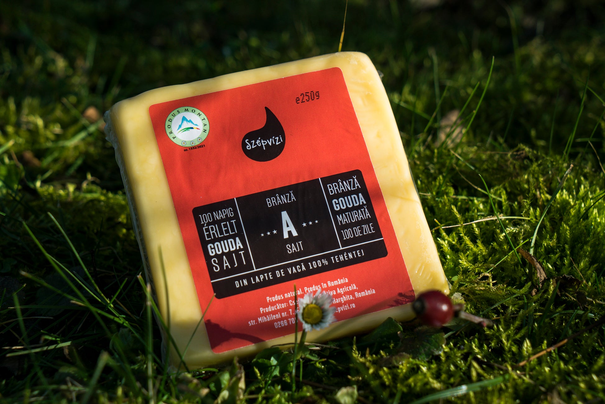 gouda-a-sajt