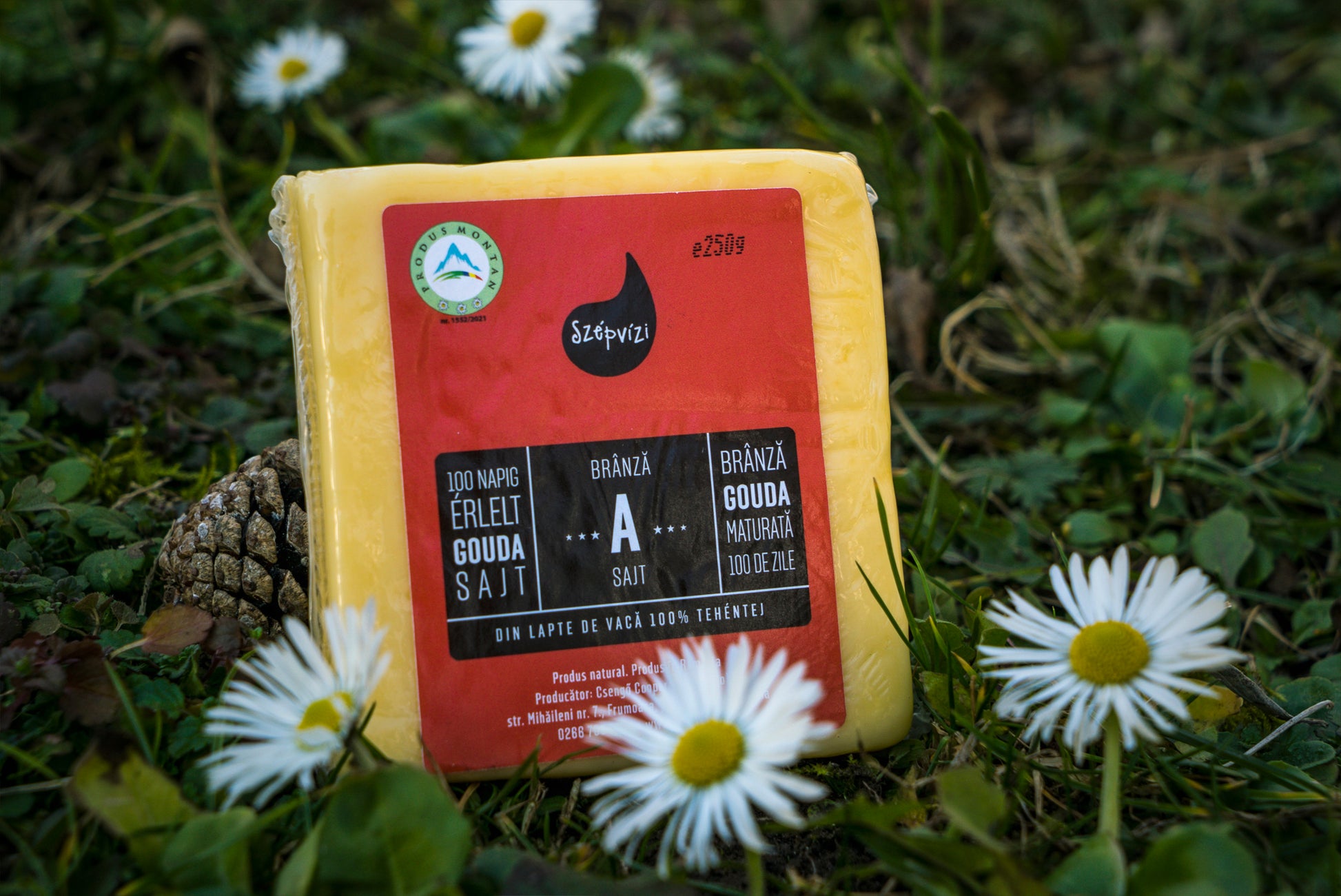gouda-a-sajt