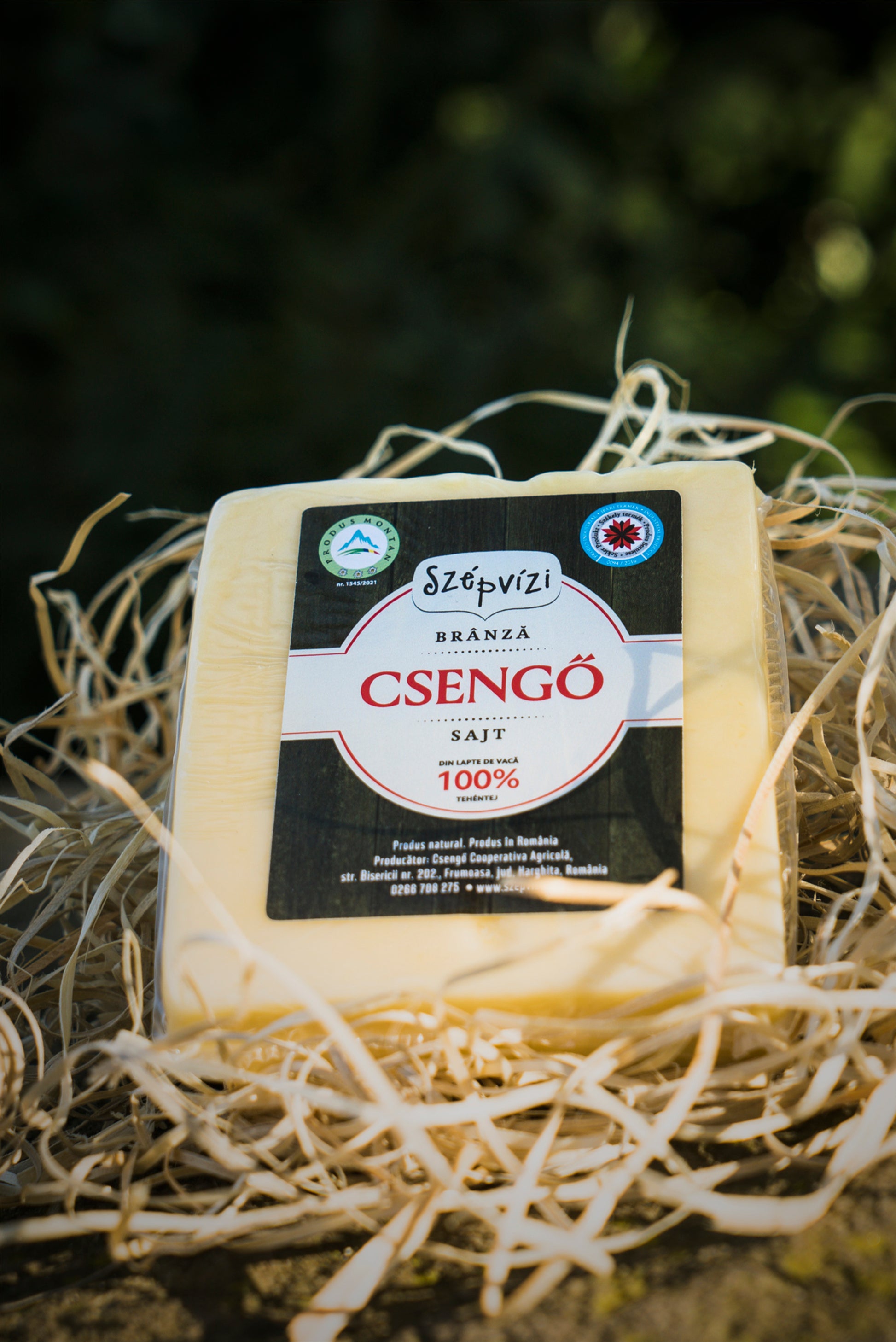 csengő