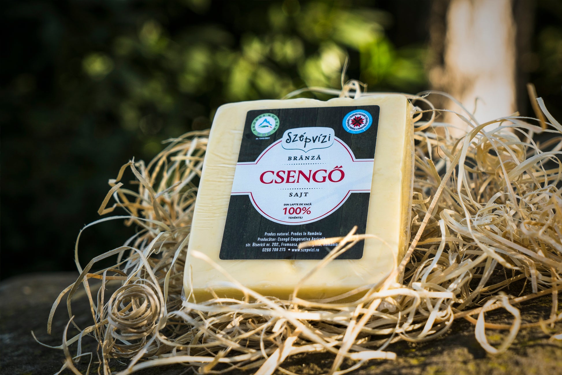 csengő